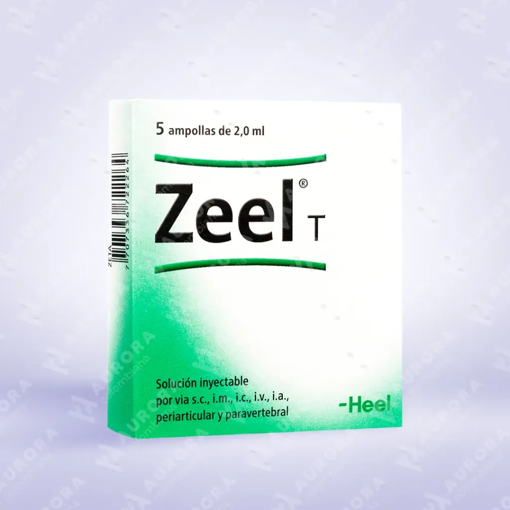 [81] ZEEL T AMP X2 ML