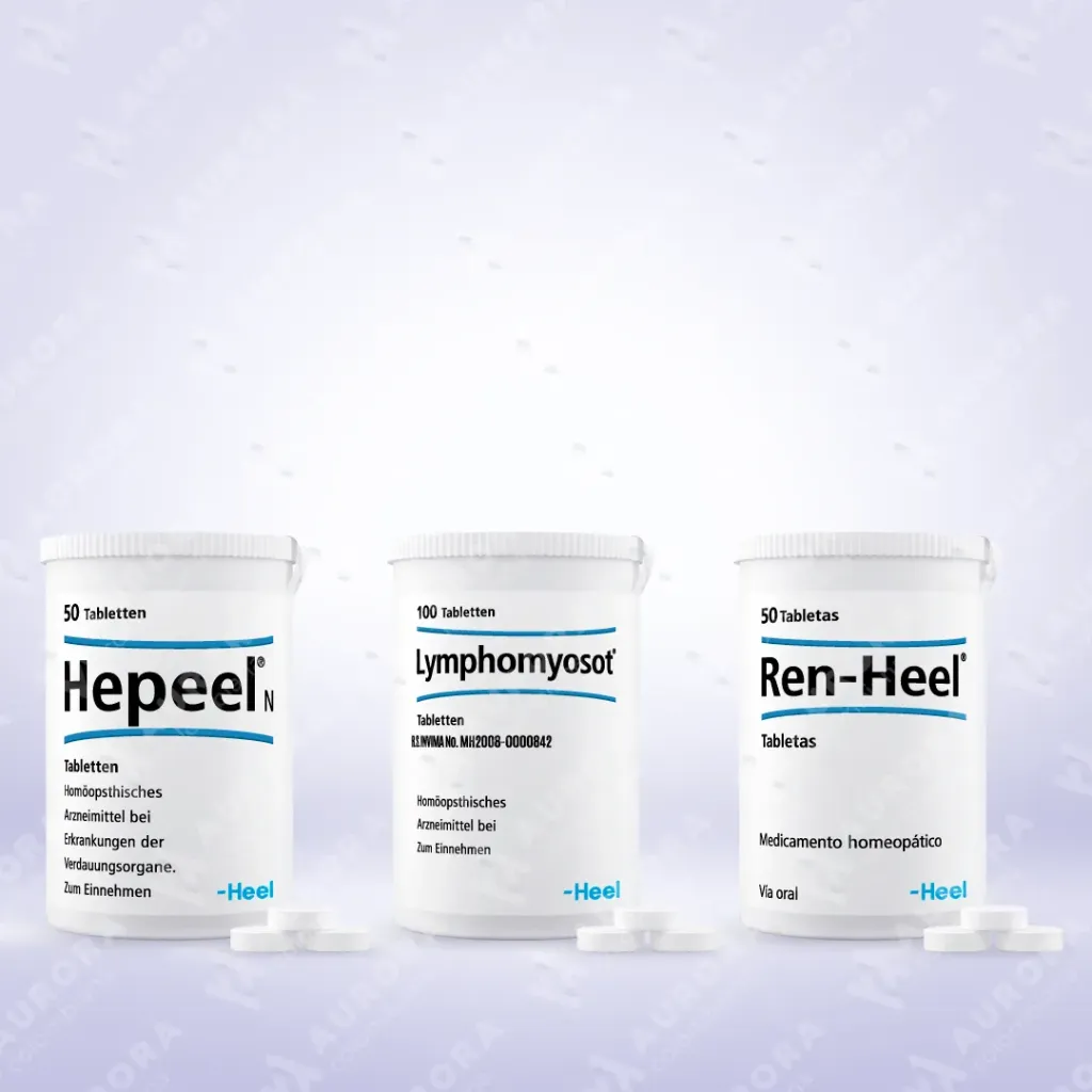 [243] KIT DETOX PRO (HEPEEL, LYMPHOMYOSOT, RENHEEL)