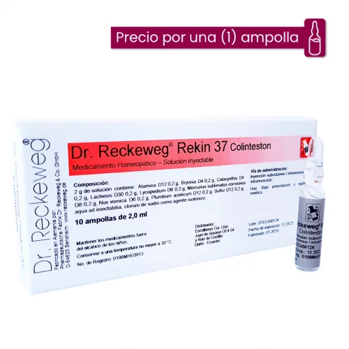 [132] REKIN 37 COLINTESTON AMP X2 ML