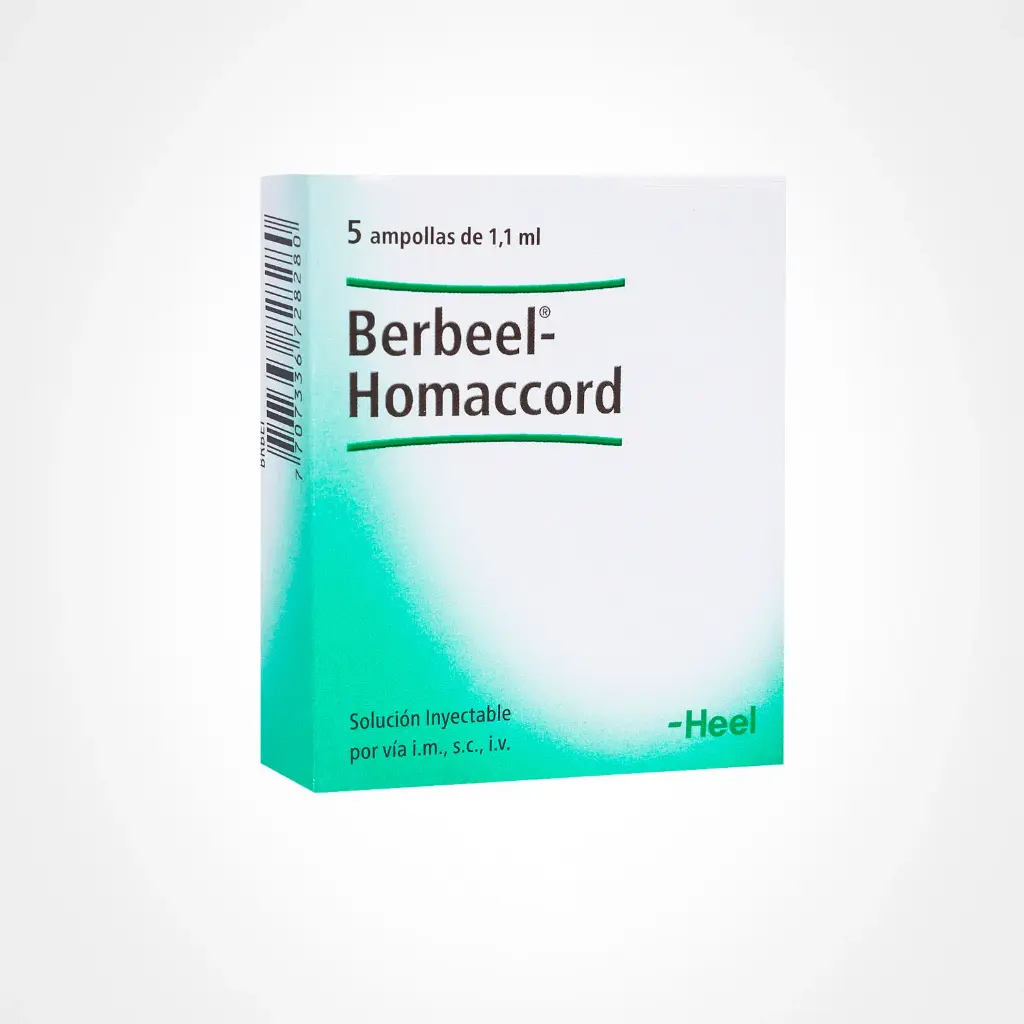 [72] BERBEEL AMP X1,1 ML